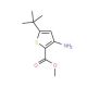 Methyl 3-amino-5-(tert-butyl)thiophene-2-carboxylate (CAS 175137-03-8) - chemical structure image