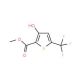 Methyl 3-Hydroxy-5-trifluoromethylthiophene-2-carboxylate (CAS 157162-16-8) - chemical structure image