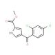 Methyl 4-(2,4-dichlorobenzoyl)-1H-pyrrole-2-carboxylate - chemical structure image
