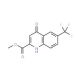 Methyl 4-hydroxy-6-(trifluoromethyl)quinoline-2-carboxylate (CAS 123158-31-6) - chemical structure image