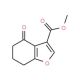 Methyl 4-oxo-4,5,6,7-tetrahydrobenzo[b]furan-3-carboxylate (CAS 82584-78-9) - chemical structure image