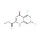 Methyl 5,7-dichloro-4-hydroxyquinoline-2-carboxylate (CAS 130613-19-3) - chemical structure image
