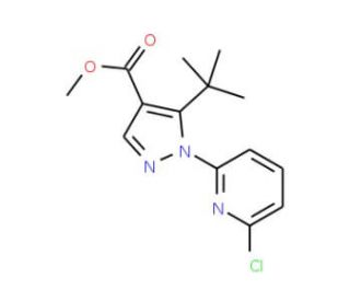 Methyl 5-tert-butyl-1-(6-chloropyridin-2-yl)pyrazole-4-carboxylate (CAS 1150164-37-6) - chemical structure image