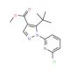 Methyl 5-tert-butyl-1-(6-chloropyridin-2-yl)pyrazole-4-carboxylate (CAS 1150164-37-6) - chemical structure image