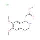 methyl (6,7-dimethoxy-1,2,3,4-tetrahydroisoquinolin-1-yl)acetate hydrochloride - chemical structure image