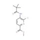 Methyl 6-chloro-5-pivalamidopicolinate (CAS 1142191-95-4) - chemical structure image