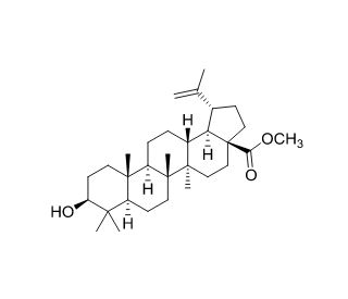 Methyl betulinate (CAS 2259-06-5) - chemical structure image