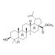 Methyl betulinate (CAS 2259-06-5) - chemical structure image