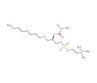 Methylcarbamyl PAF C-8 - chemical structure image
