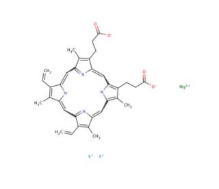 Mg(II) Protoporphyrin IX Dipotassium Salt (CAS 35979-27-2) - chemical structure image
