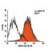 MICA Antibody (2C10) - Flow Cytometry - Image 6308