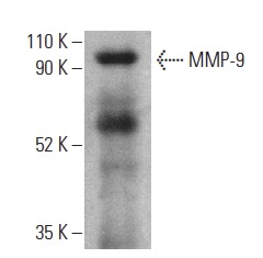 UNBOX INDUSTRIES 林田球 モージャ 10月1日のスーフェスで、なんと大ダーク『モージャ』のソフビも