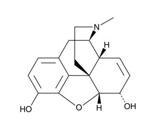 Morphine | CAS 57-27-2 | SCBT - Santa Cruz Biotechnology