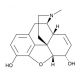 Morphine | CAS 57-27-2 | SCBT - Santa Cruz Biotechnology