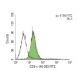 CD3-e (48-2B): sc-1174. Indirect FCM analysis of TK-1 cells stained with CD3-e (48-2B), followed by FITC-conjugated mouse
