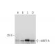MRTF-A/MKL1 Antibody (G-8) - Western Blotting - Image 308177