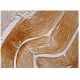 MSH3 Antibody (C-8) - Immunohistochemistry - Image 160012 