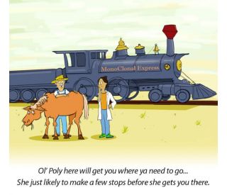 Primary monoclonal antibodies placeholder 4