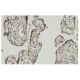 Myoneurin Antibody (JB-17) - Immunohistochemistry - Image 36282 
