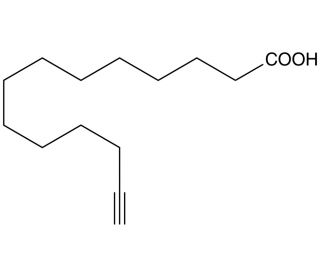 Myristic Acid alkyne (CAS 82909-47-5) - chemical structure image