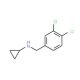 N-[(3,4-dichlorophenyl)methyl]cyclopropanamine - chemical structure image