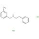 N-[(6-Methylpyridin-2-yl)methyl]-2-phenylethanamine dihydrochloride - chemical structure image
