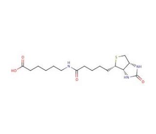 N-(&plus;)-Biotinyl-6-aminohexanoic acid (CAS 72040-64-3) - chemical structure image