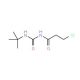 N-[(tert-butylamino)carbonyl]-3-chloropropanamide - chemical structure image