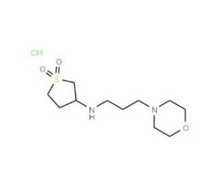 N-(1,1-dioxidotetrahydrothien-3-yl)-N-(3-morpholin-4-ylpropyl)amine hydrochloride - chemical structure image