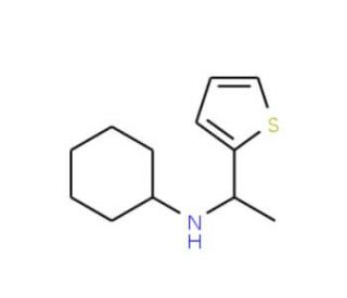 N-(1-Thien-2-ylethyl)cyclohexanamine - chemical structure image