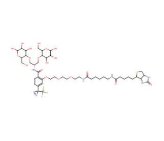 N-[2-[2-[2-[(N-Biotinyl-caproylamino)-ethoxy)ethoxyl]-4-[2-(trifluoromethyl)-3H-diazirin-3-yl]benzoyl]-1,3-bis(mannopyranosyl