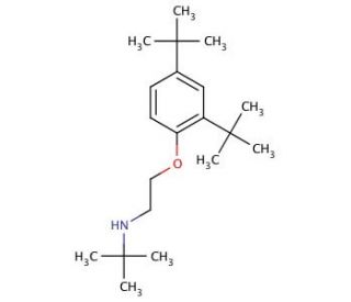 N-{2-[2,4-Di(tert-butyl)phenoxy]ethyl}-2-methyl-2-propanamine - chemical structure image