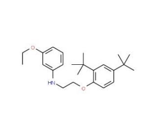 N-{2-[2,4-Di(tert-butyl)phenoxy]ethyl}-3-ethoxyaniline - chemical structure image
