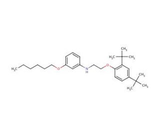 N-{2-[2,4-Di(tert-butyl)phenoxy]ethyl}-3-(hexyloxy)aniline - chemical structure image
