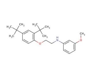N-{2-[2,4-Di(tert-butyl)phenoxy]ethyl}-3-methoxyaniline - chemical structure image