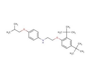 N-{2-[2,4-Di(tert-butyl)phenoxy]ethyl}-4-isobutoxyaniline (CAS 1040688-35-4) - chemical structure image