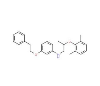 N-[2-(2,6-Dimethylphenoxy)propyl]-3-(phenethyloxy)aniline (CAS 1040682-40-3) - chemical structure image