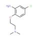 N-[2-(2-Amino-4-chlorophenoxy)ethyl]-N,N-dimethylamine - chemical structure image
