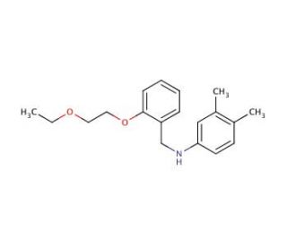 N-[2-(2-Ethoxyethoxy)benzyl]-3,4-dimethylaniline - chemical structure image