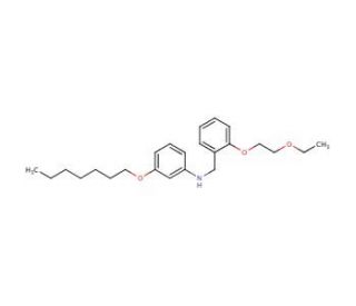 N-[2-(2-Ethoxyethoxy)benzyl]-3-(heptyloxy)aniline - chemical structure image
