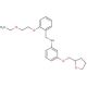 N-[2-(2-Ethoxyethoxy)benzyl]-3-(tetrahydro-2-furanylmethoxy)aniline - chemical structure image