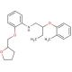 N-[2-(2-Methylphenoxy)butyl]-2-(tetrahydro-2-furanylmethoxy)aniline - chemical structure image