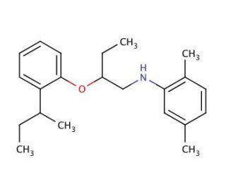 N-{2-[2-(sec-Butyl)phenoxy]butyl}-2,5-dimethylaniline - chemical structure image