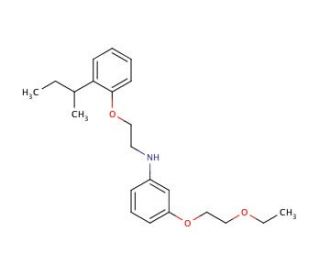 N-{2-[2-(sec-Butyl)phenoxy]ethyl}-3-(2-ethoxyethoxy)aniline - chemical structure image