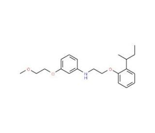 N-{2-[2-(sec-Butyl)phenoxy]ethyl}-3-(2-methoxyethoxy)aniline - chemical structure image
