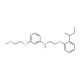 N-{2-[2-(sec-Butyl)phenoxy]ethyl}-3-(2-methoxyethoxy)aniline - chemical structure image