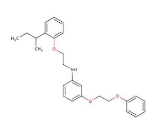N-{2-[2-(sec-Butyl)phenoxy]ethyl}-3-(2-phenoxyethoxy)aniline - chemical structure image