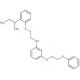 N-{2-[2-(sec-Butyl)phenoxy]ethyl}-3-(2-phenoxyethoxy)aniline - chemical structure image