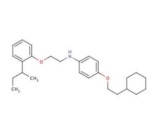 N-{2-[2-(sec-Butyl)phenoxy]ethyl}-4-(2-cyclohexylethoxy)aniline - chemical structure image