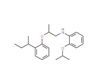 N-{2-[2-(sec-Butyl)phenoxy]propyl}-2-isopropoxyaniline (CAS 1040683-78-0) - chemical structure image